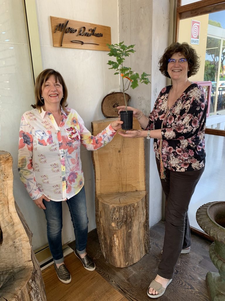 giuseppina consegna una piantina di quercia
